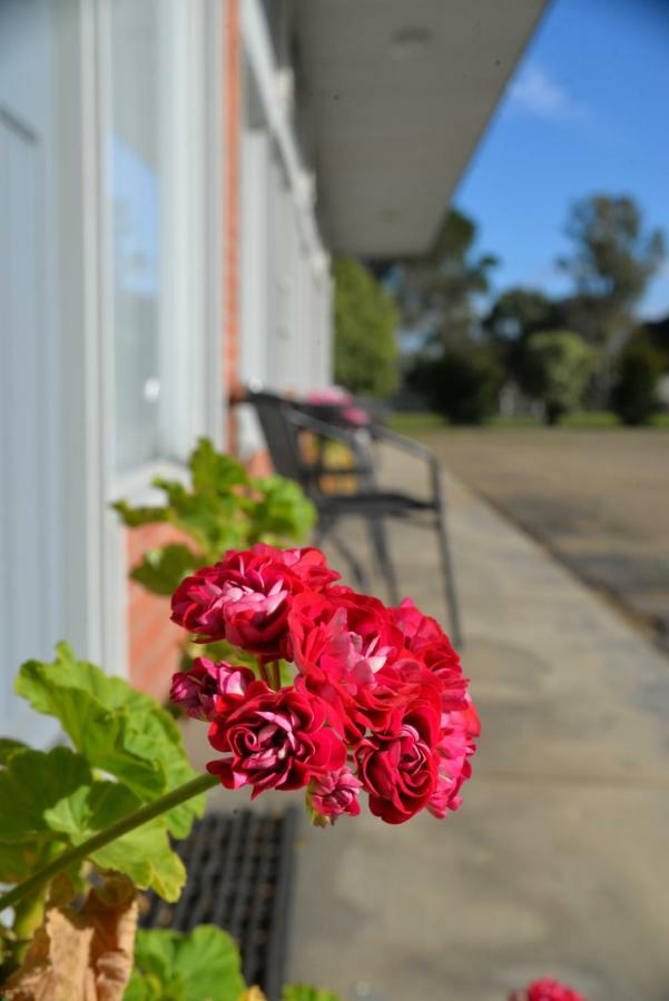 Ship Inn Motel Yarram Exterior foto